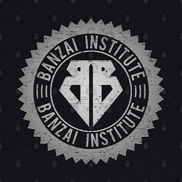 Banzai Institute [Steel/Worn] by Roufxis